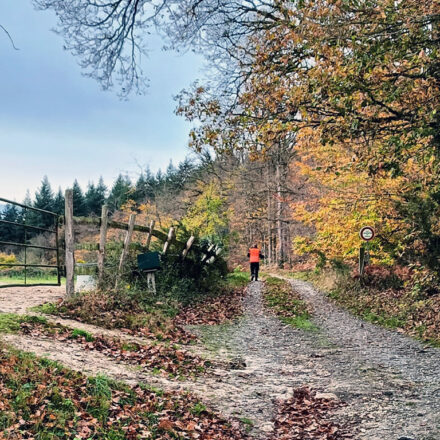 ADRASEC-72-Exercice-15.11.25-4